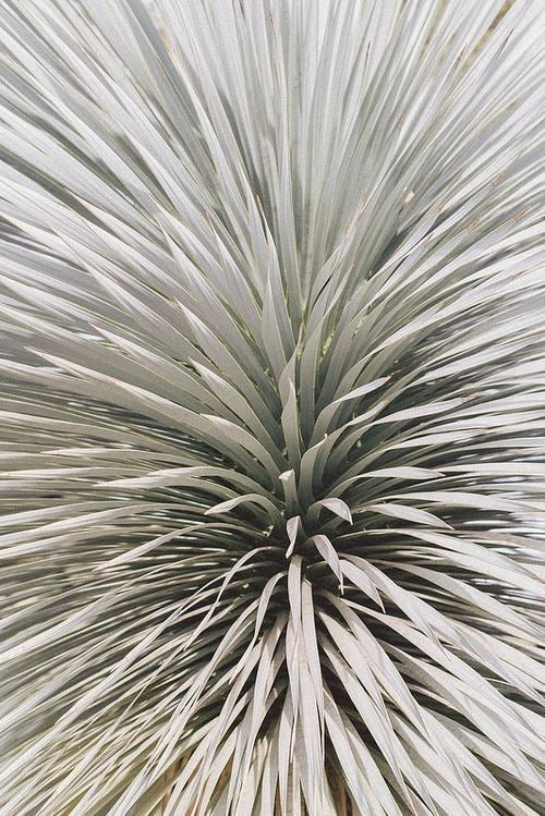 Tónico Facial Remineralizante