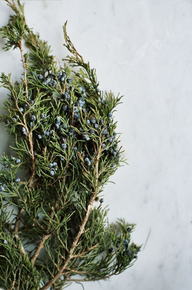 Therapeutic Body Oil