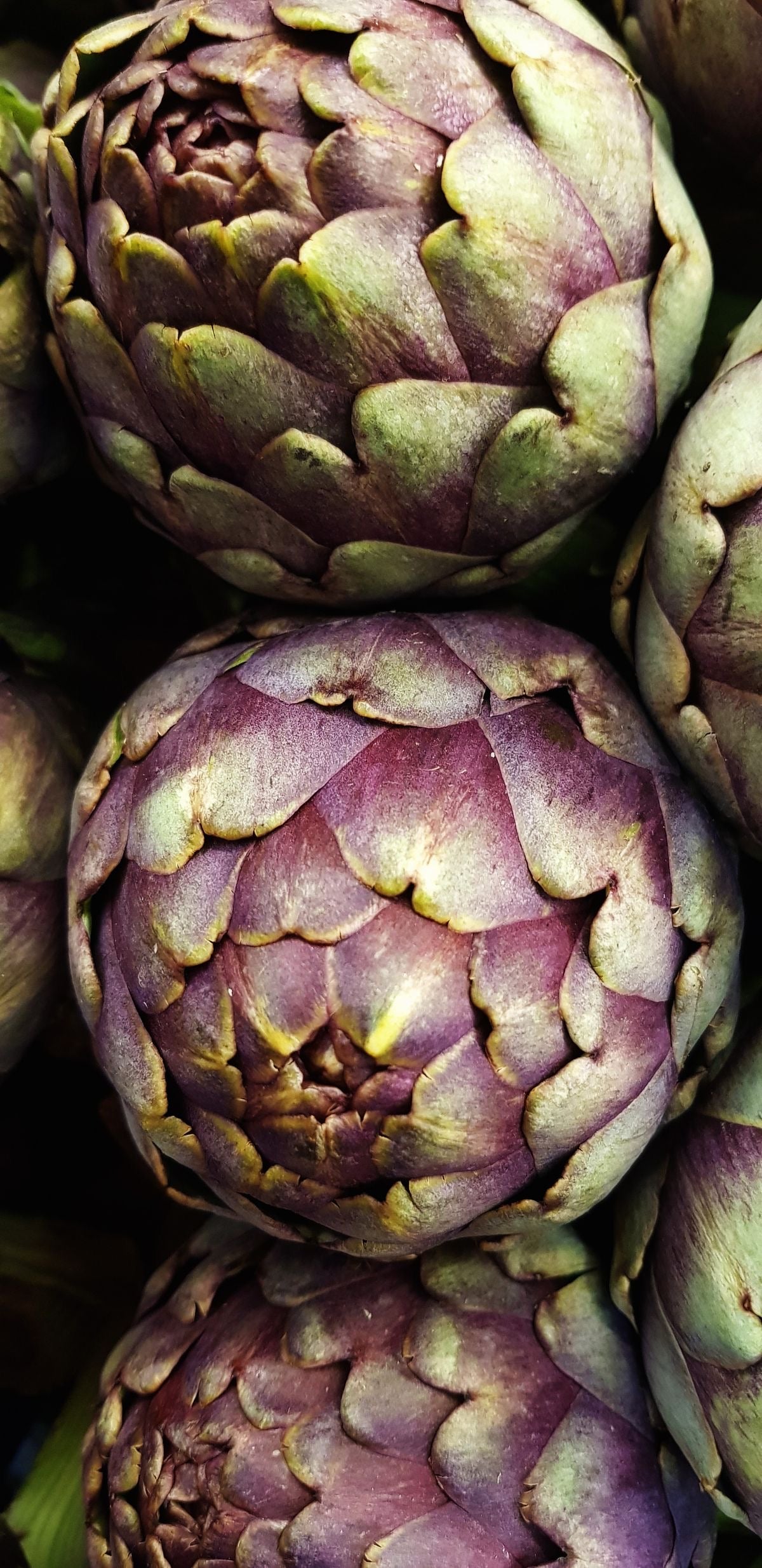 Anti - Age Cleansing Foam